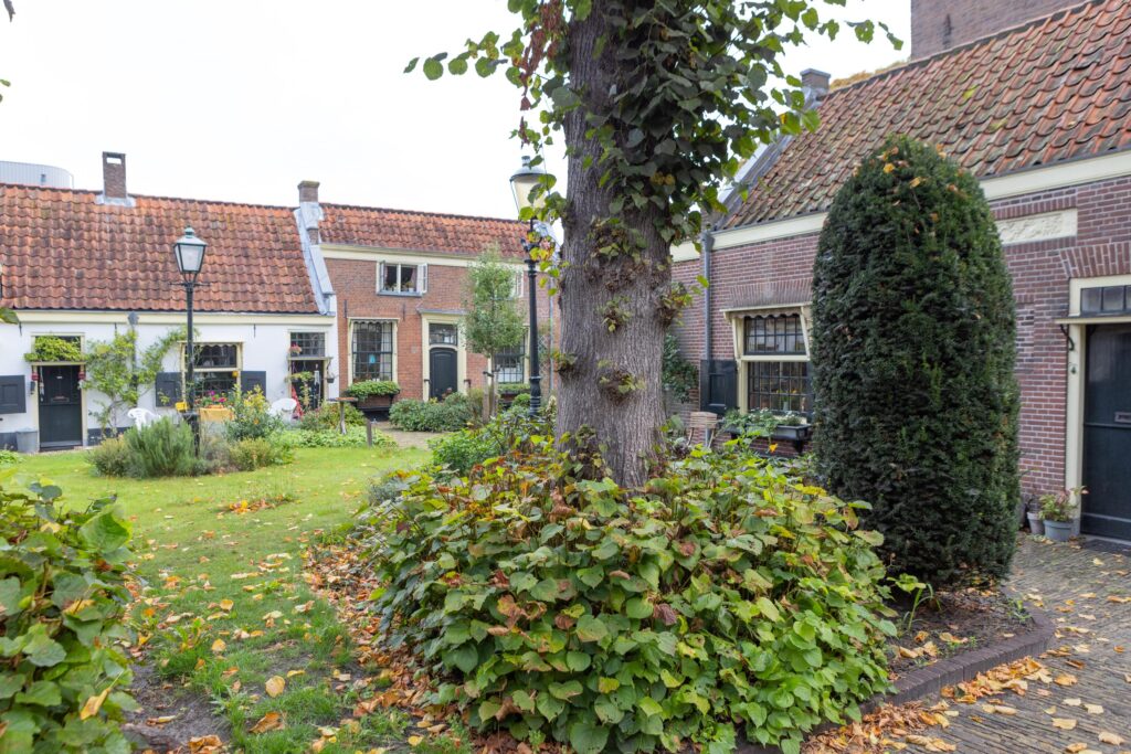 Cozy courtyard with historic European houses and greenery.