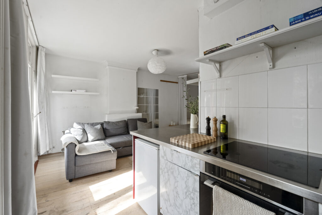 Modern living room with kitchen and sofa.