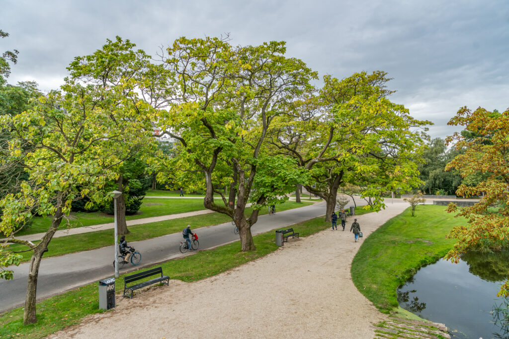 Park path with cyclists and green trees.