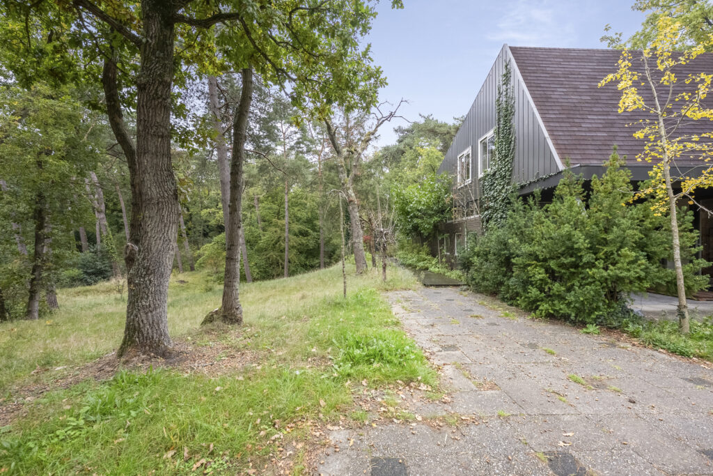 House near forest with driveway and trees.