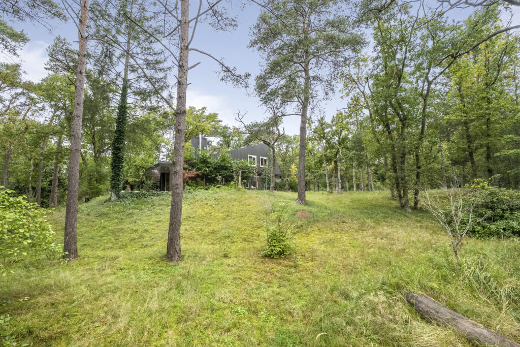 House surrounded by forest and grassy hill