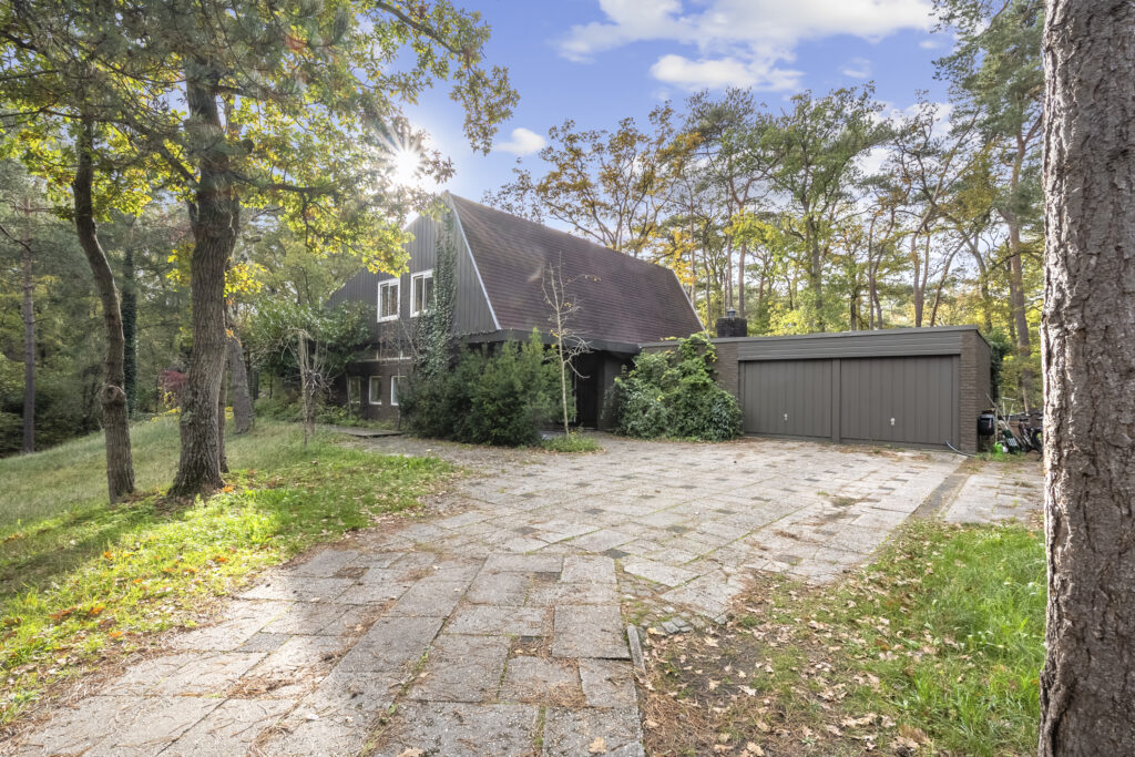 Woodland house with stone driveway and trees