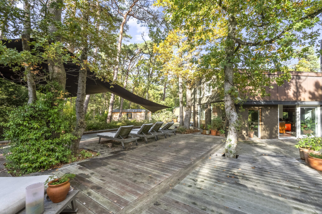 Wooden deck with loungers in forested backyard