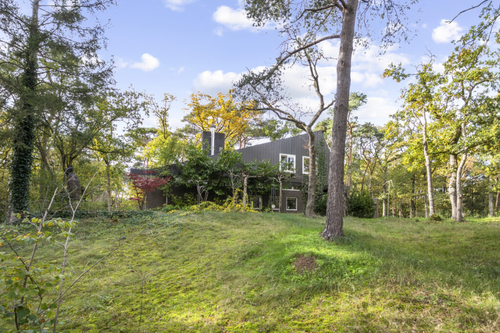 Modern house surrounded by lush green forest.