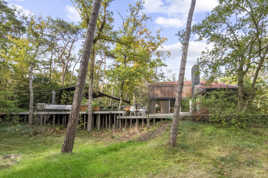 Modern house surrounded by tall trees in forest.