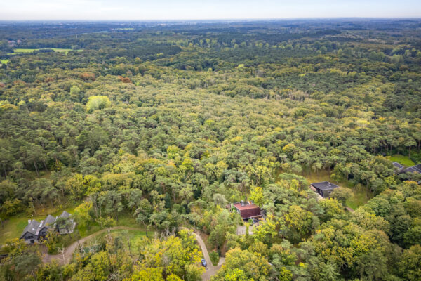 Aerial view of dense forest landscape with scattered houses.