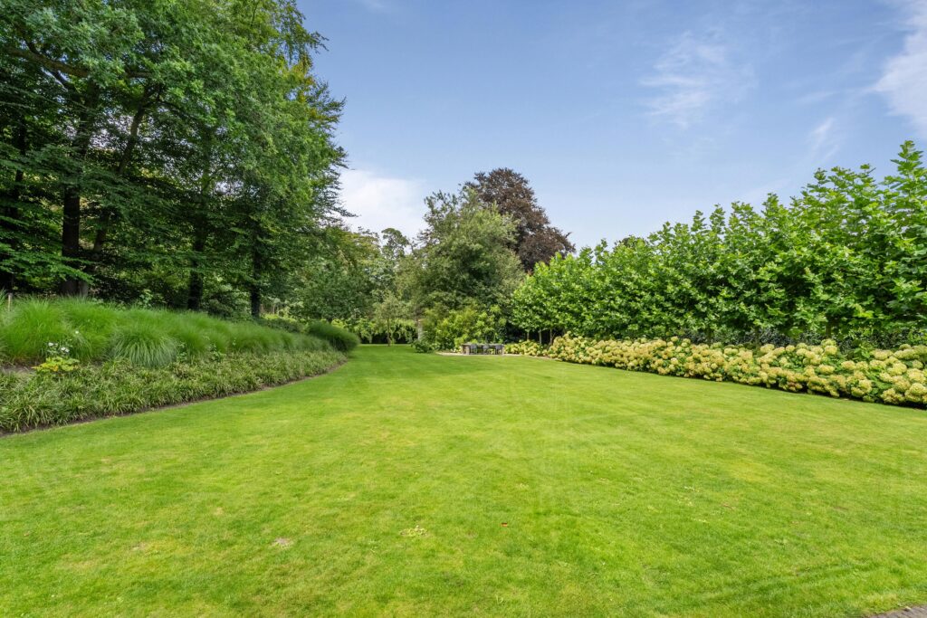 Spacious garden with lush green trees and lawn.