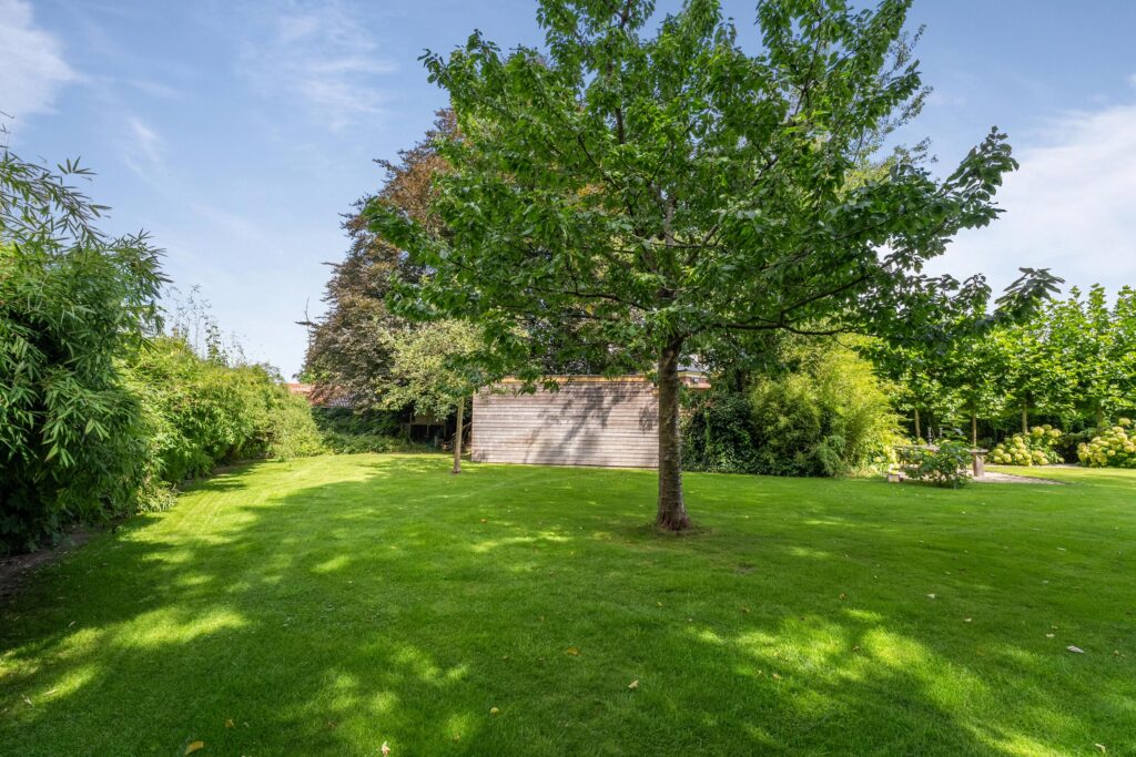 Lush garden with trees and green lawn.