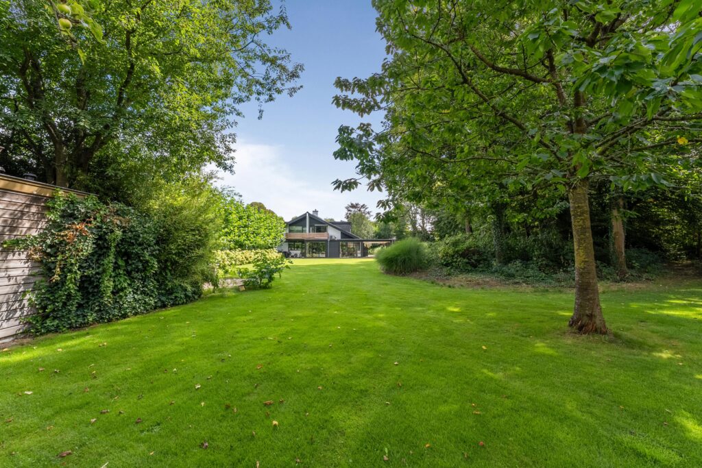 Lush backyard with trees and modern house in distance.