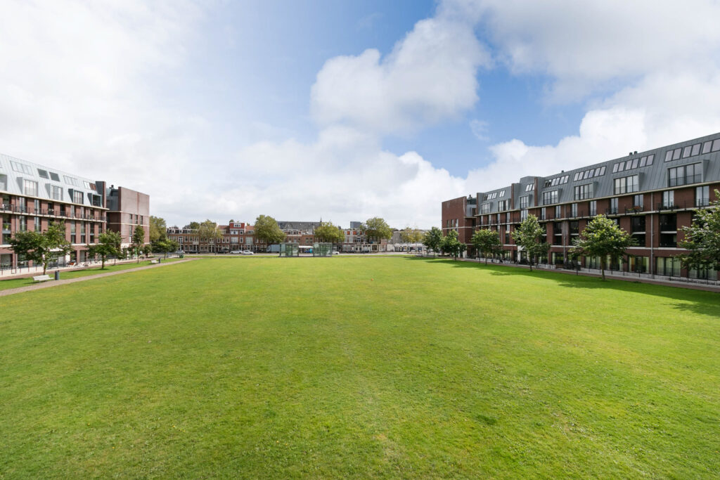 Wide green field between modern buildings.