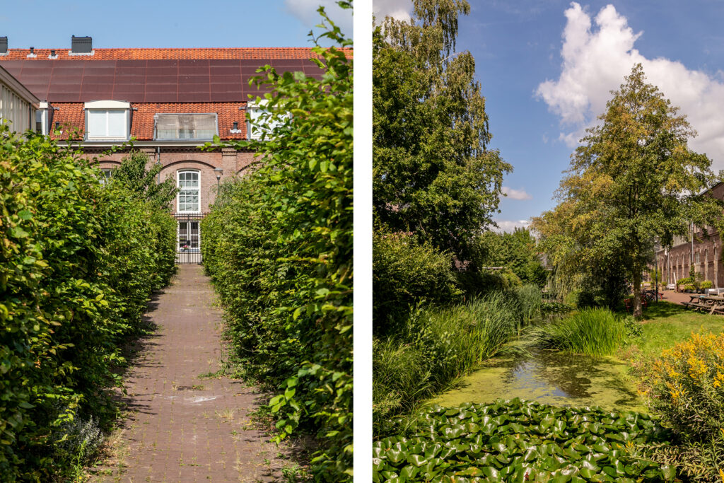 Brick house with garden path and pond view.