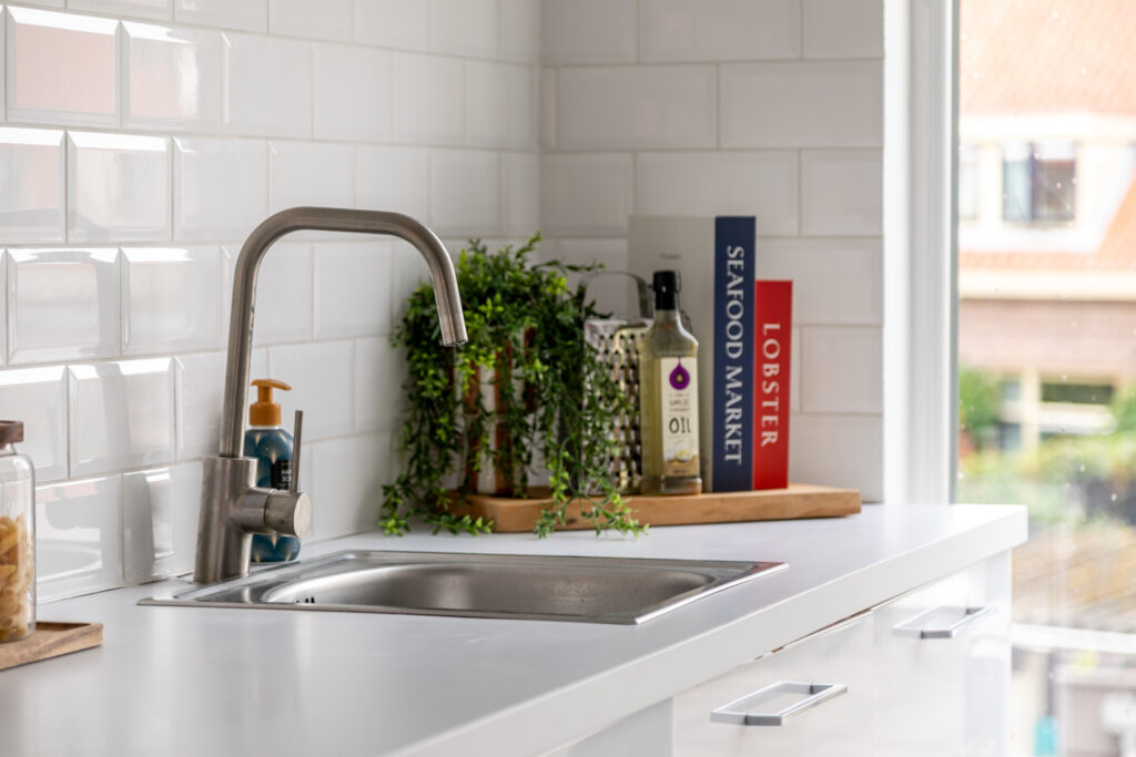 Modern kitchen sink with books and plant