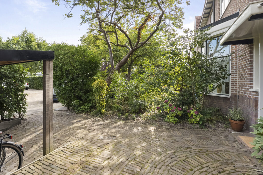 Sunny garden and patio with trees and flowers.