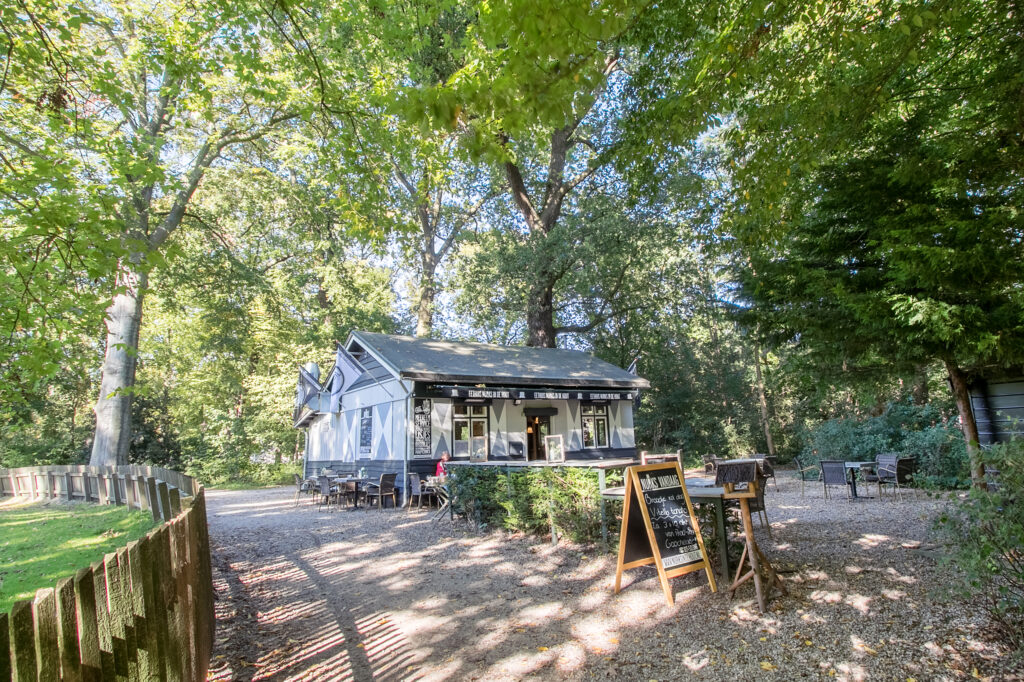 Cozy forest café with outdoor seating