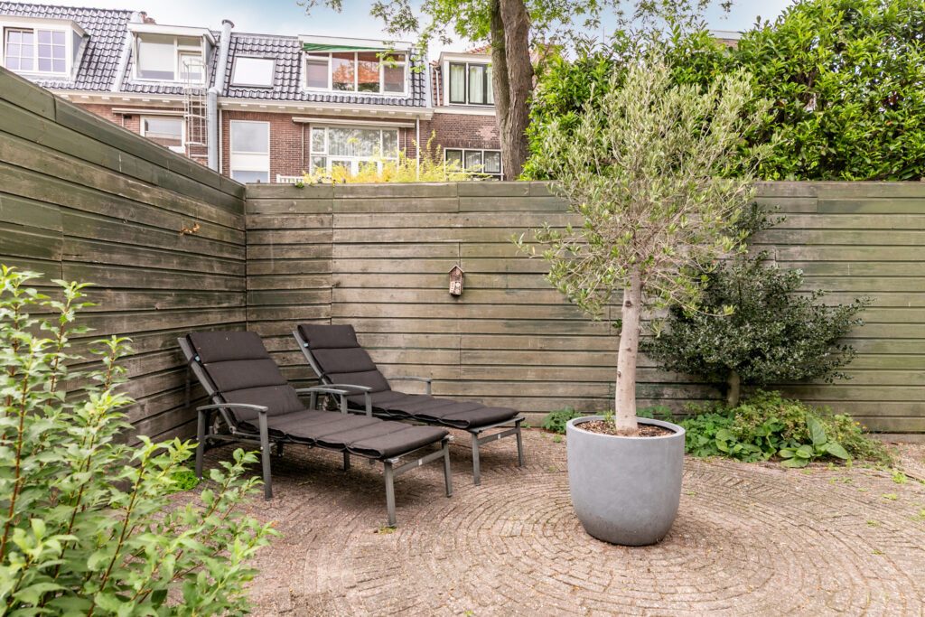 Cozy backyard with lounge chairs and potted tree.