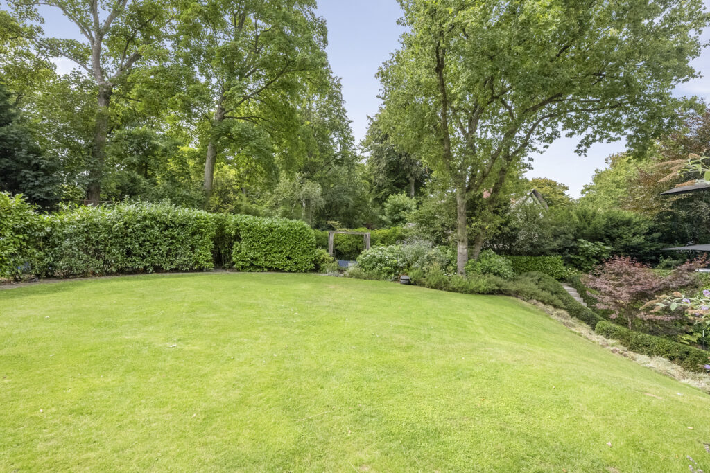 Green garden with lush trees and grass
