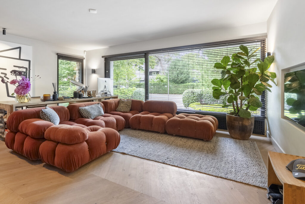 Modern living room with sectional sofa and large plant