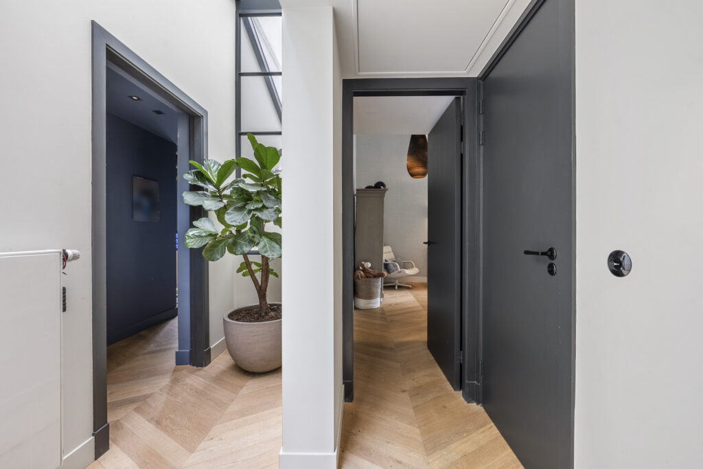 Modern hallway with plant and open doors