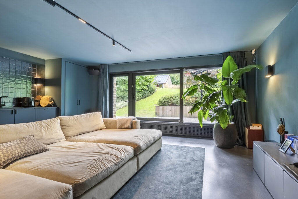 Modern living room with large plant and cozy sofa.