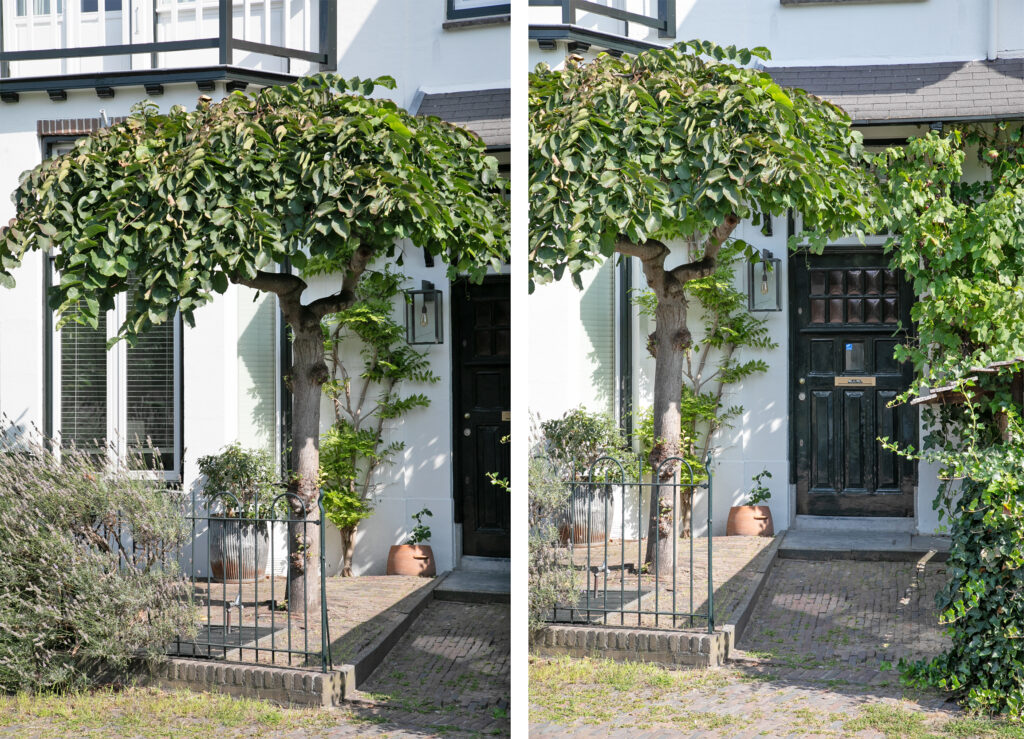 House entrance with lush green tree