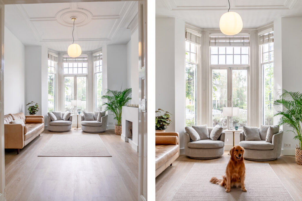 Bright living room with cozy furniture and a dog.