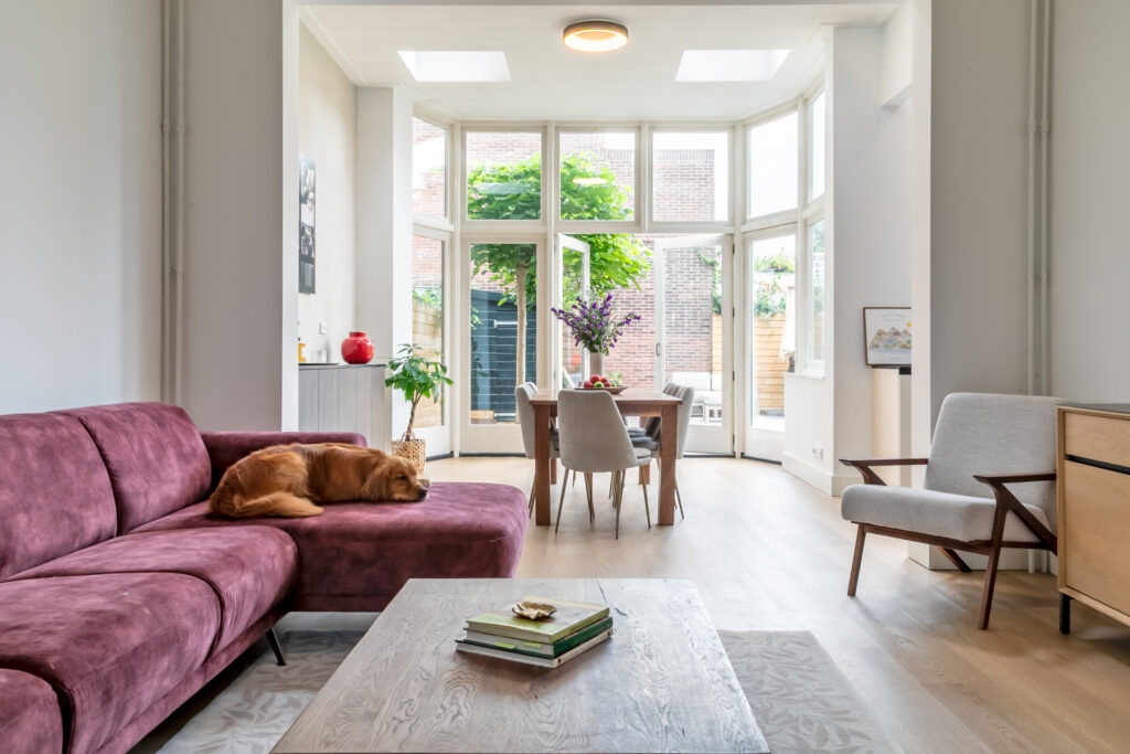 Cozy living room with dog on purple couch.
