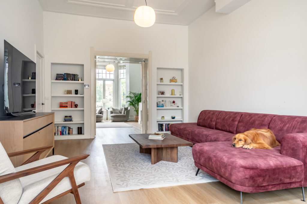 Cozy living room with dog on purple sofa.