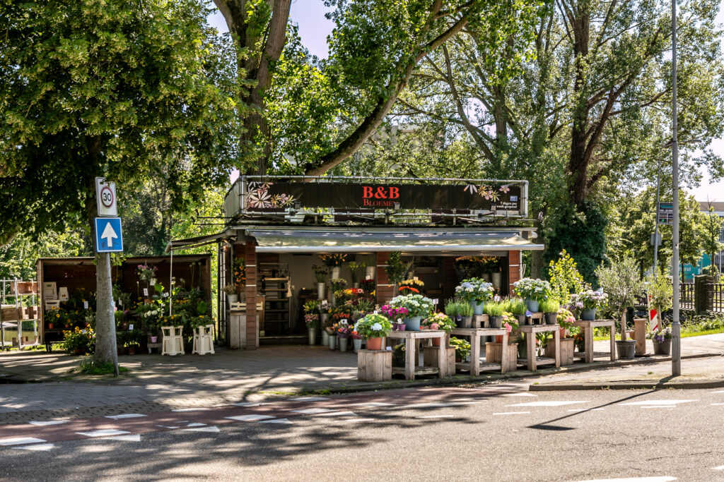 Outdoor flower shop with colorful plants and greenery.