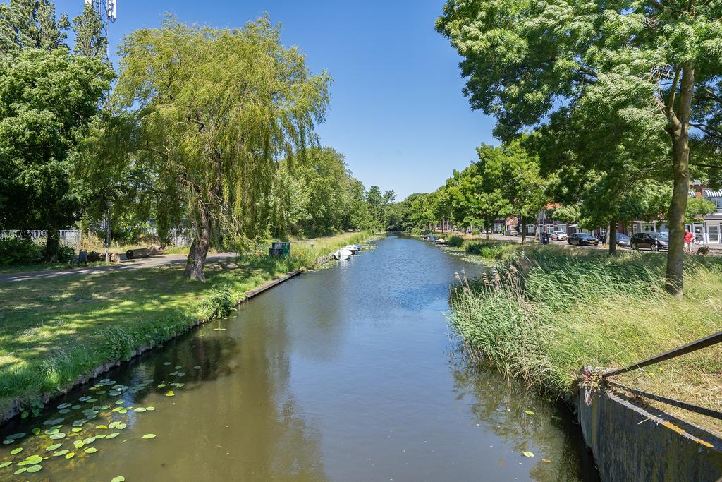 Scenic canal with trees and clear blue sky.