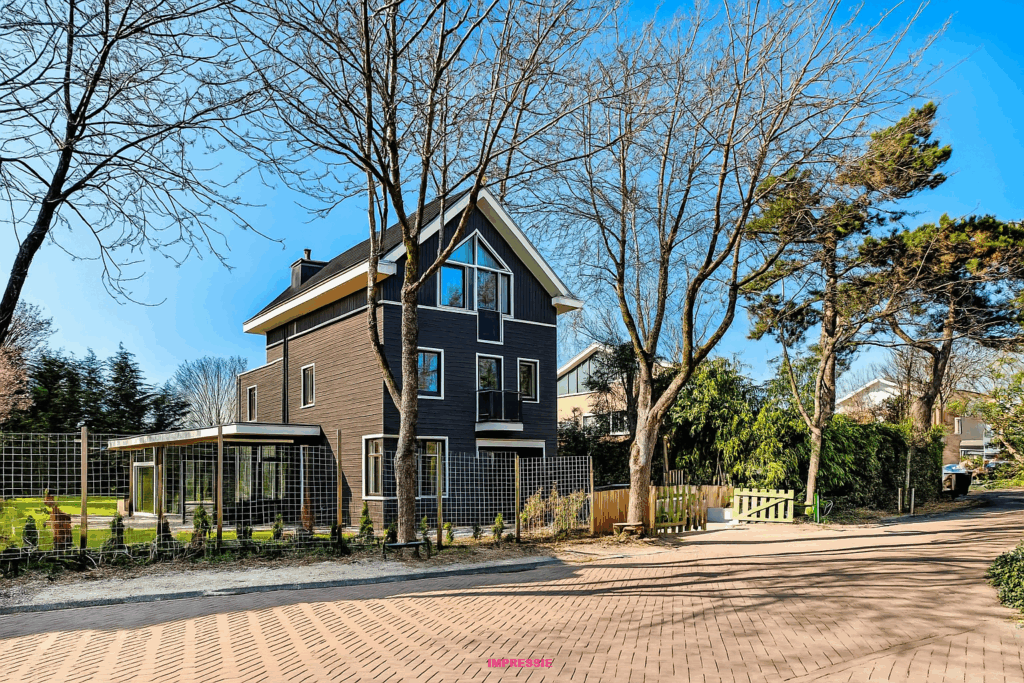 Modern house with trees and brick road
