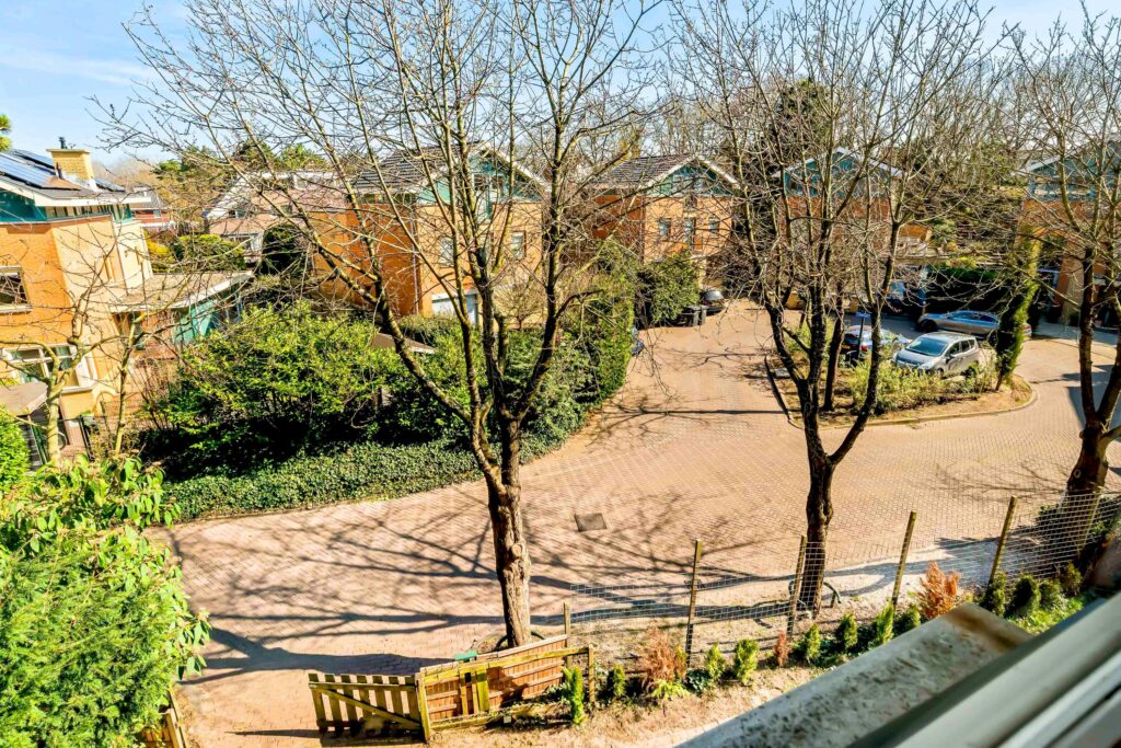 Residential street with parked cars and trees in sunlight.