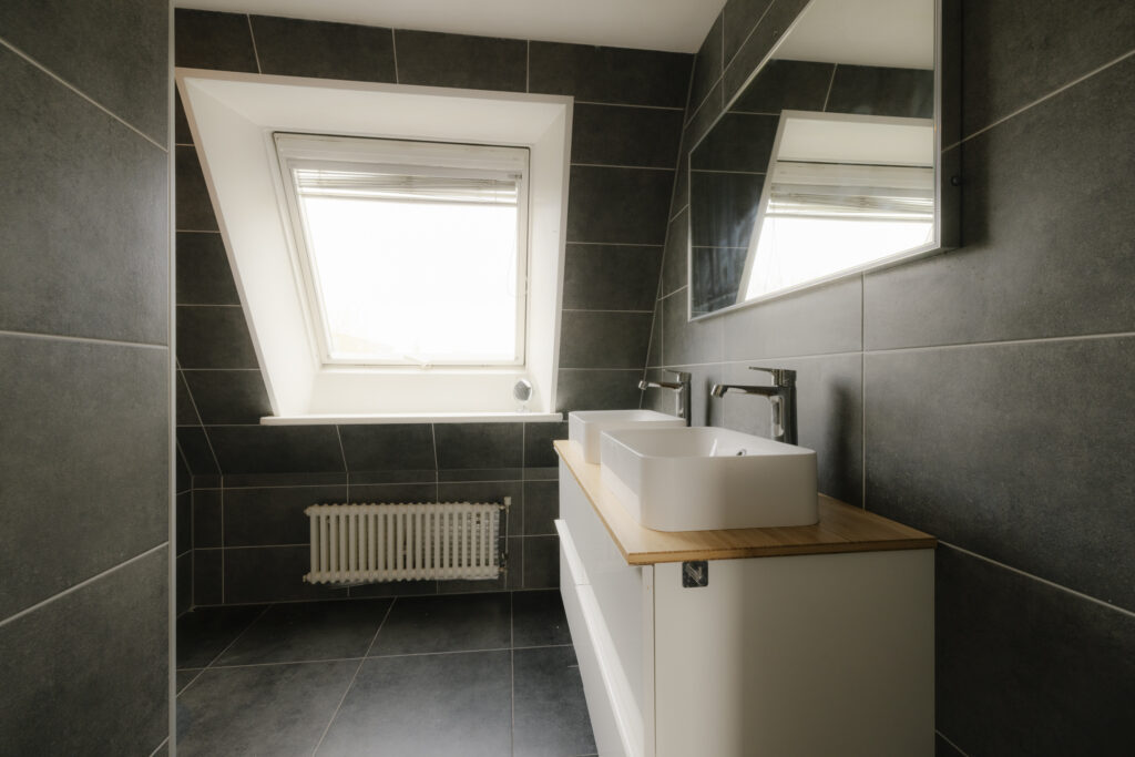 Modern bathroom with skylight and dual sinks