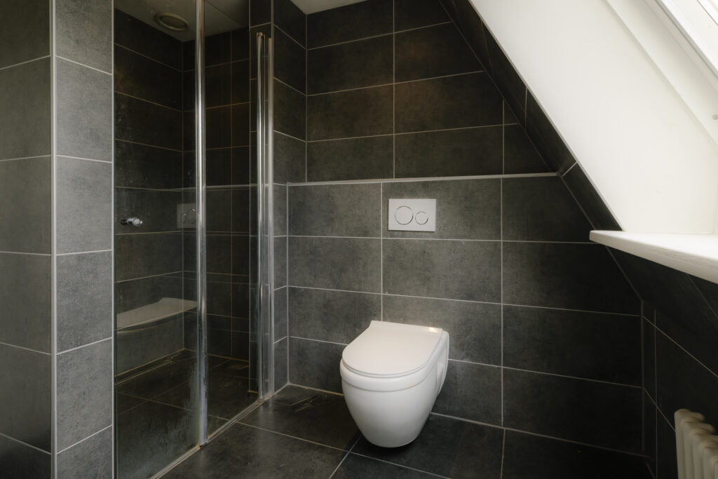 Modern bathroom with toilet and shower.