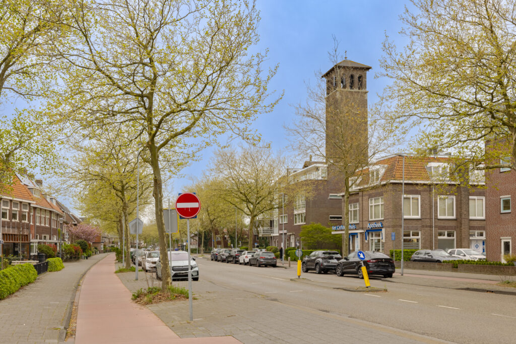 Quiet street with cars and trees in spring.