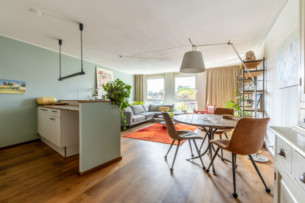 Modern living room with dining area and plants.