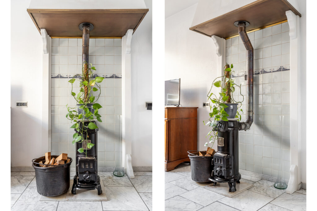 Decorative wood stove with plants and logs nearby