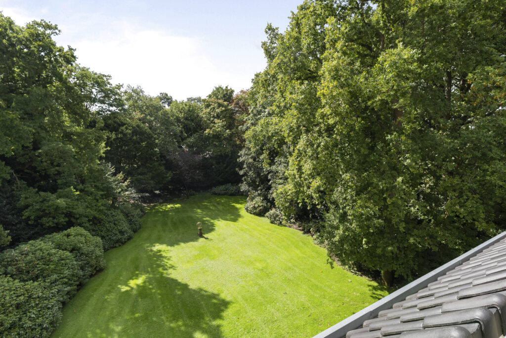 Lush green backyard with trees and grass.