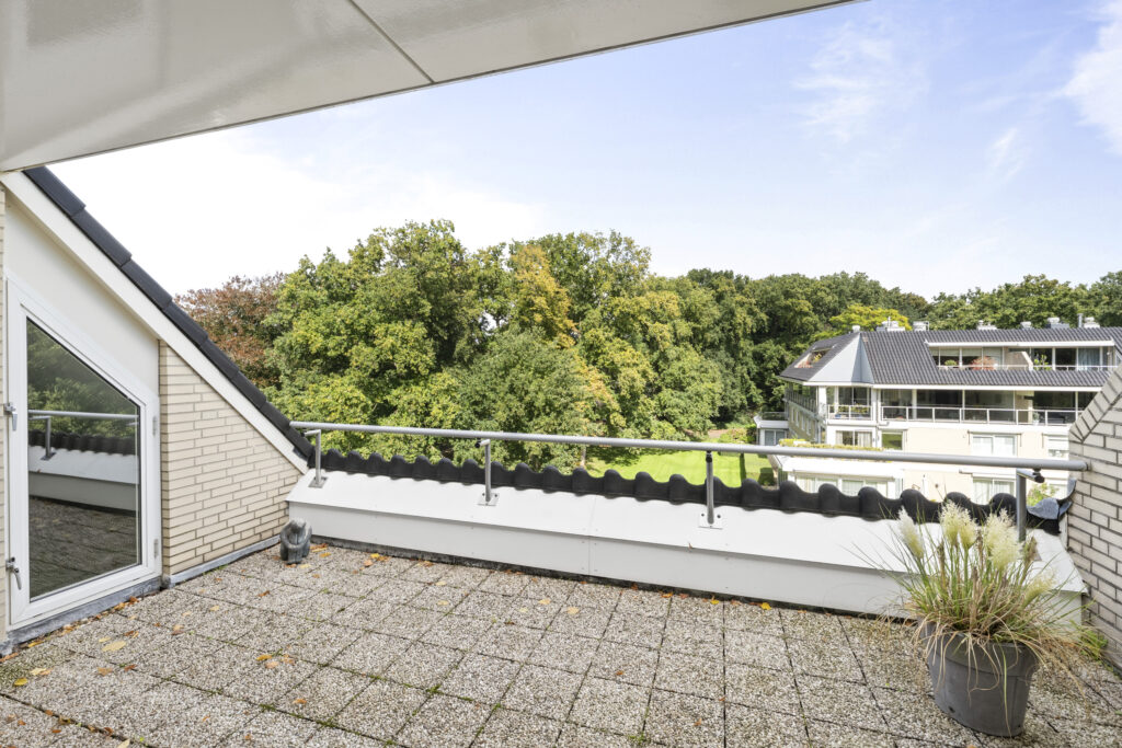 Rooftop terrace view with trees and modern buildings.