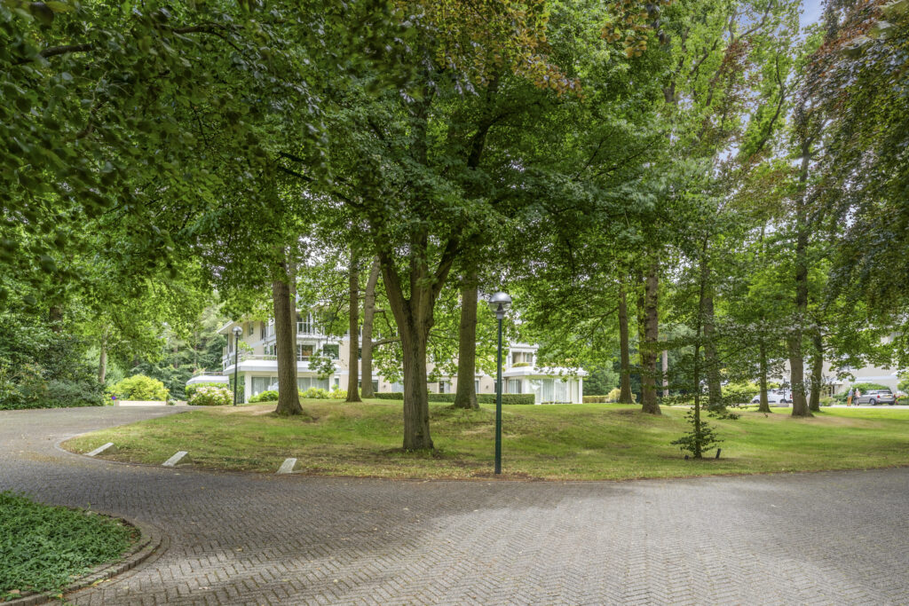 Lush green park with modern building in background.