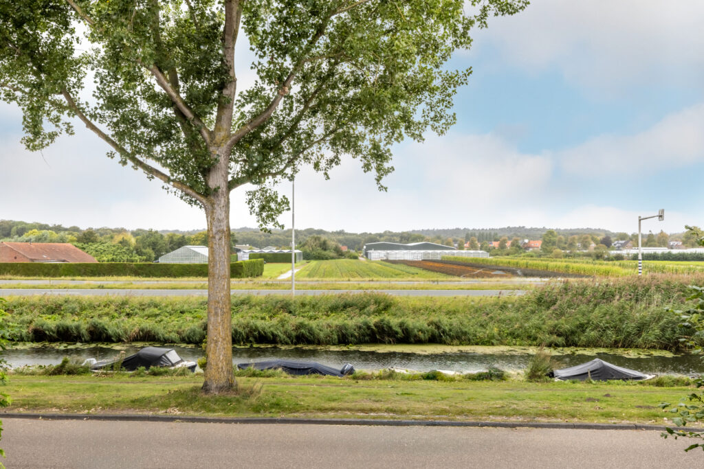 Scenic countryside with tree, fields, and boats