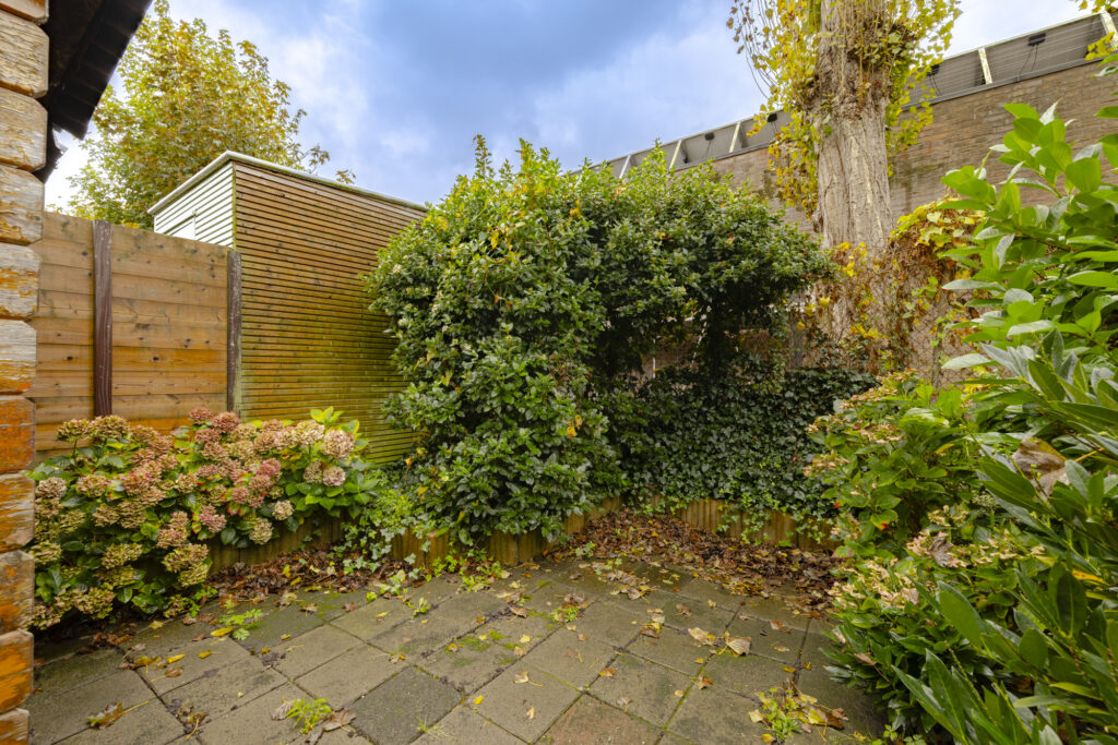 Small garden patio with green plants and flowers.