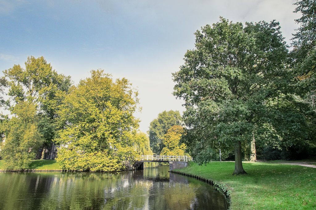 Peaceful park with pond and trees