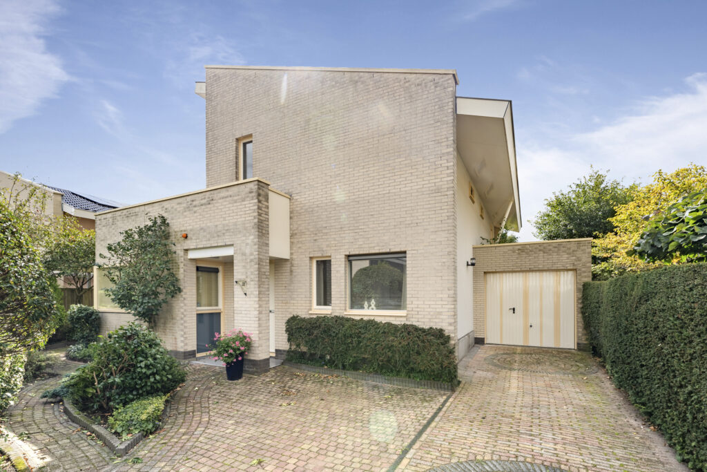 Modern house with garage and garden