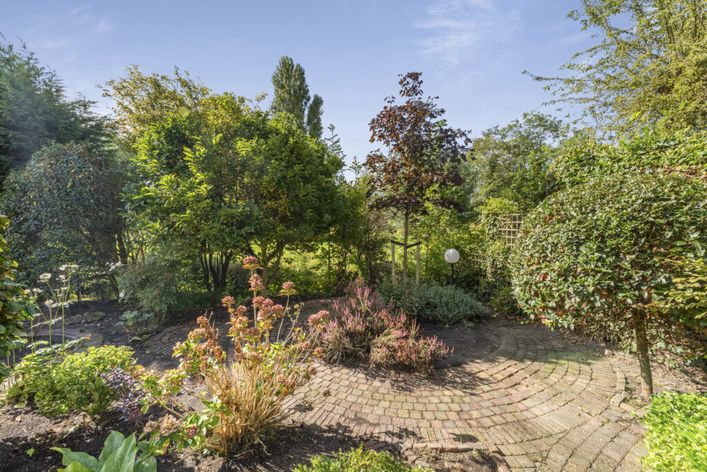 Beautiful garden with green trees and colorful flowers.