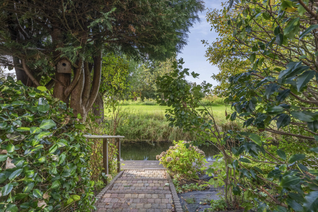 Garden path with lush greenery and birdhouse.