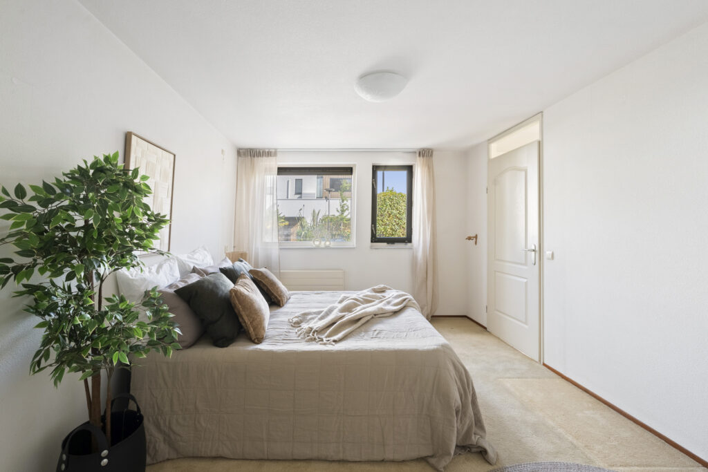 Bright bedroom with bed, pillows, and plant.