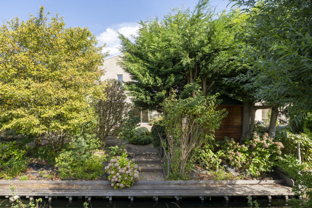Lush garden with trees and shrubs view.