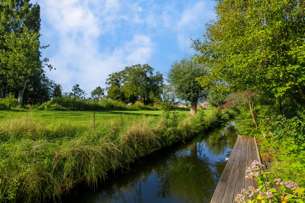 Lush garden beside tranquil stream under blue sky.