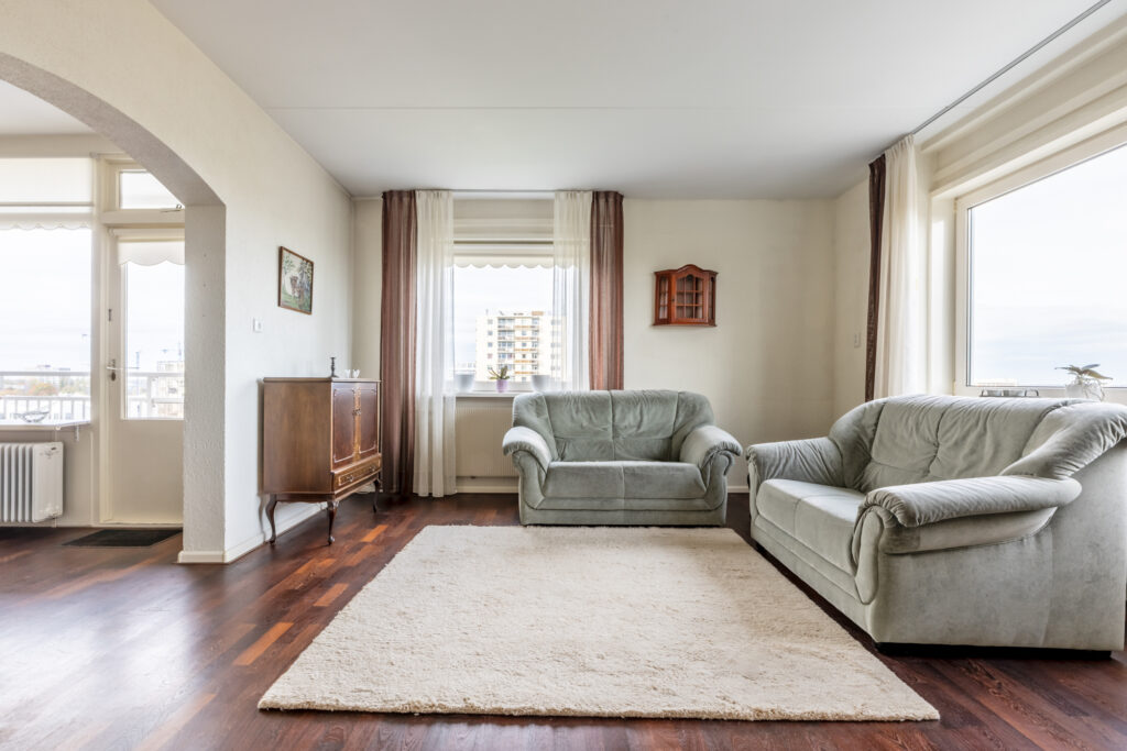 Spacious living room with sofas and rug