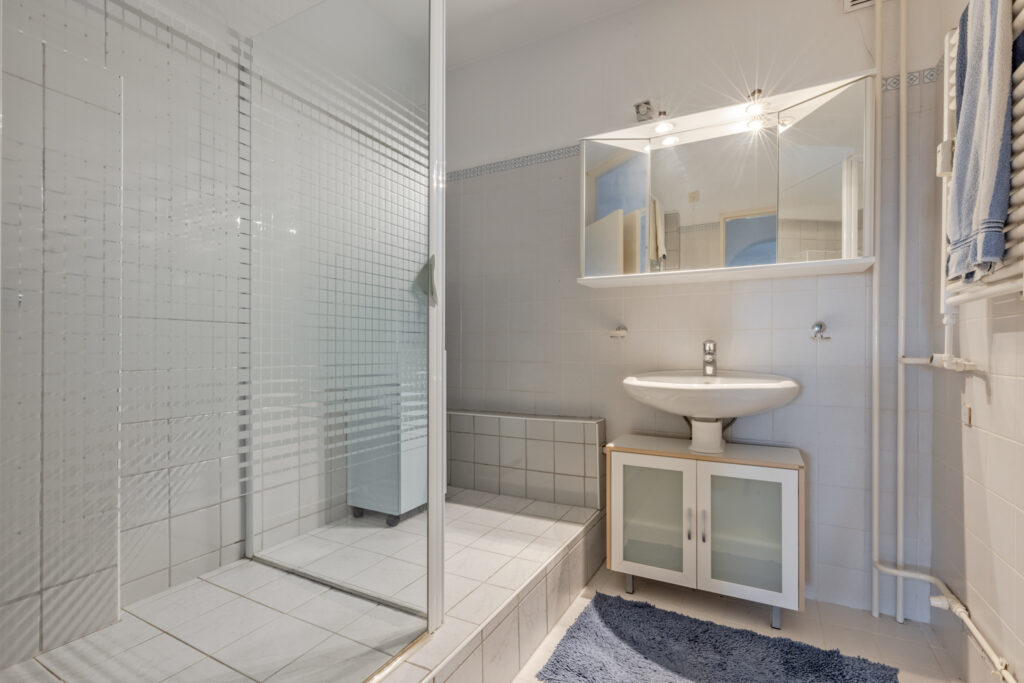Modern bathroom with shower and sink